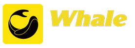 鲸鱼试用
